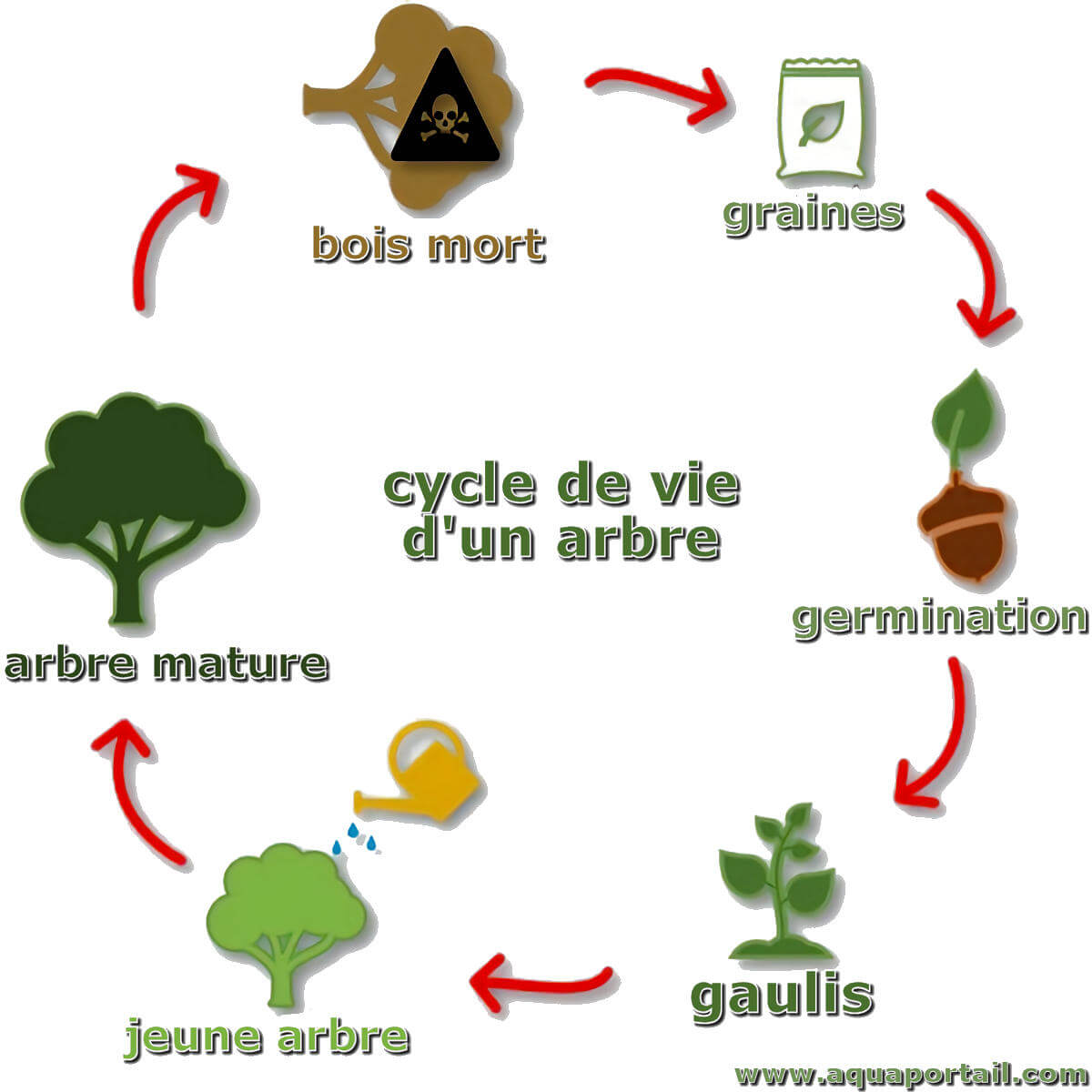 Cycle De Vie Et De Mort Cycle De Vie Et De Mort