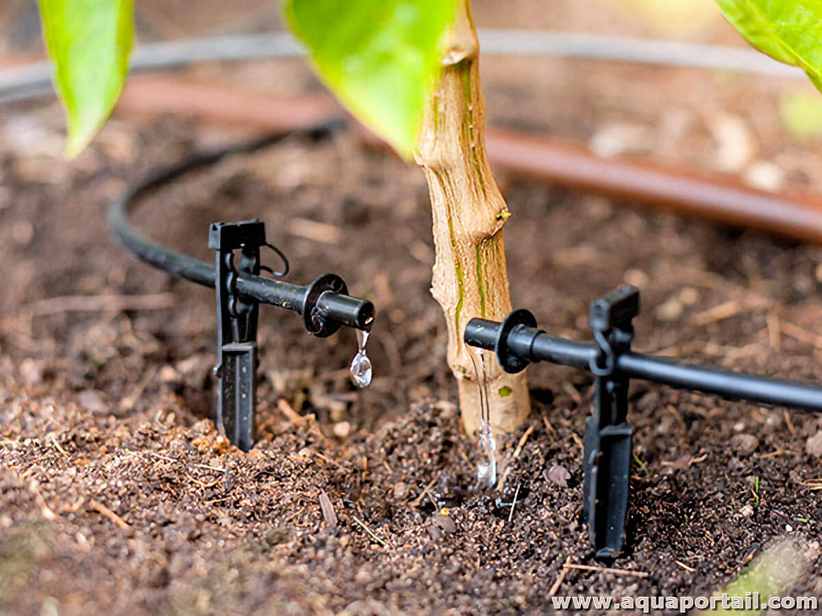 Tuyau arrosage goutte à goutte en ligne