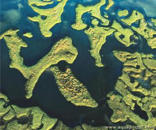 hydrobiologie