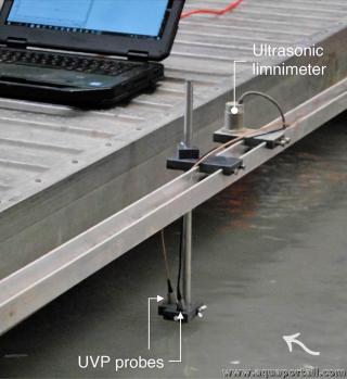 limnimtre