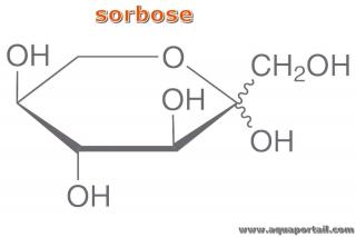 sorbose