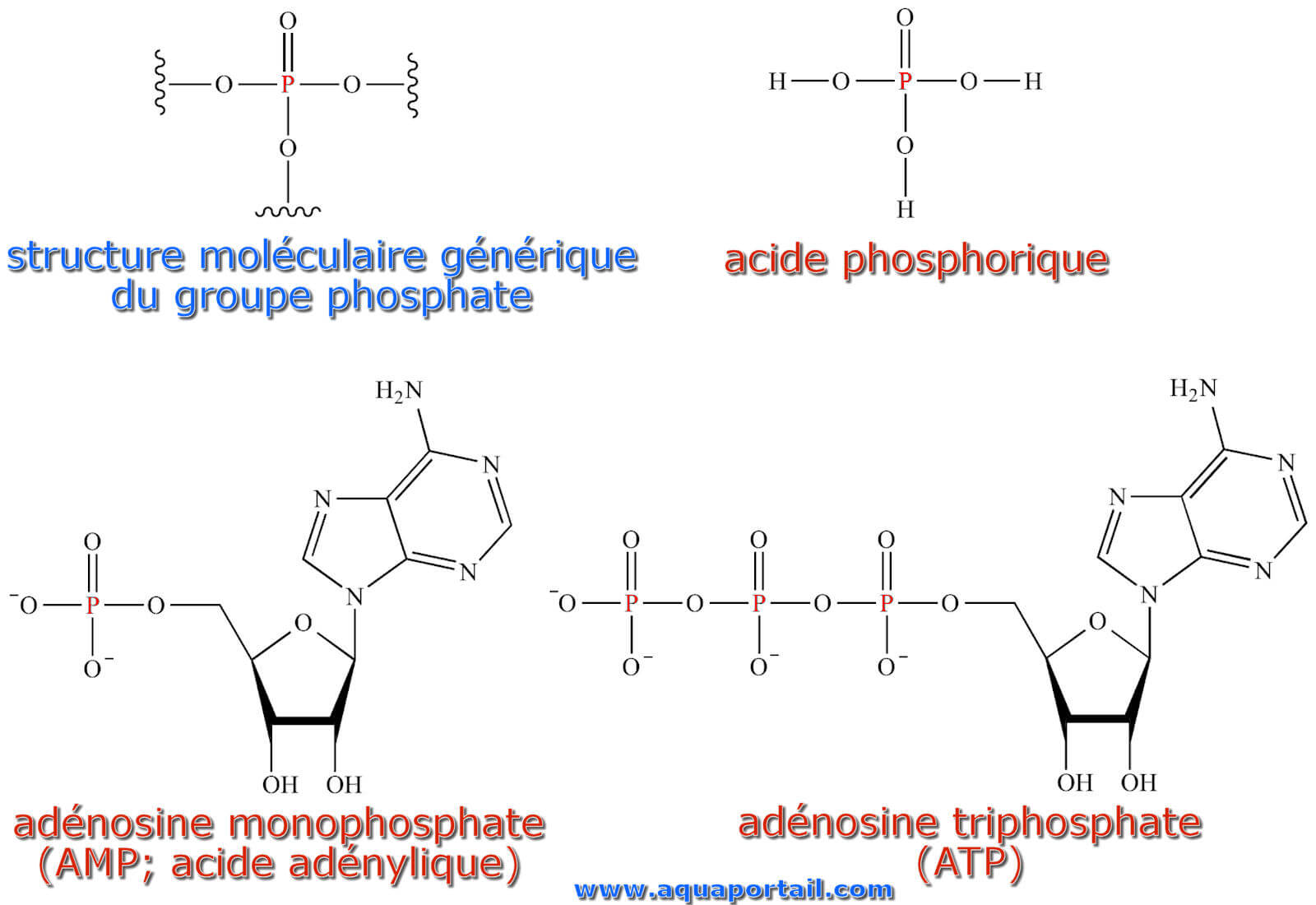 Acide Phosphorique  DISACITS Photochimie