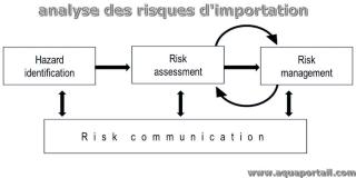 Processus d'analyse des risques d'importation