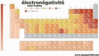 lectrongativit