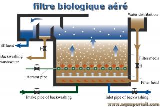 filtre biologique