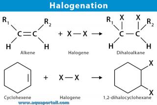 halognation