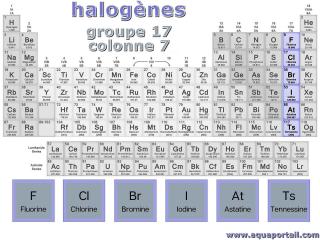 Halognes dans le groupe 17 de la table priodique