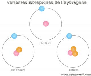3 variantes isotopiques de l'hydrogne