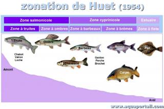 zonation de Huet