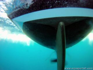 Carne sous l'eau d'un bateau