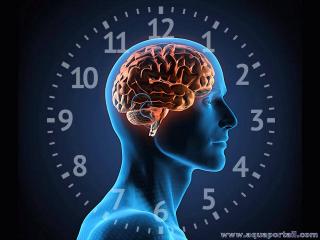 horloge interne