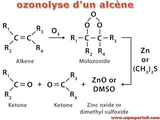 Ozonolyse d'un alcne