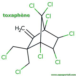 Toxaphne (molcule)