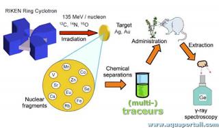 Utilisation de traceurs en biologie