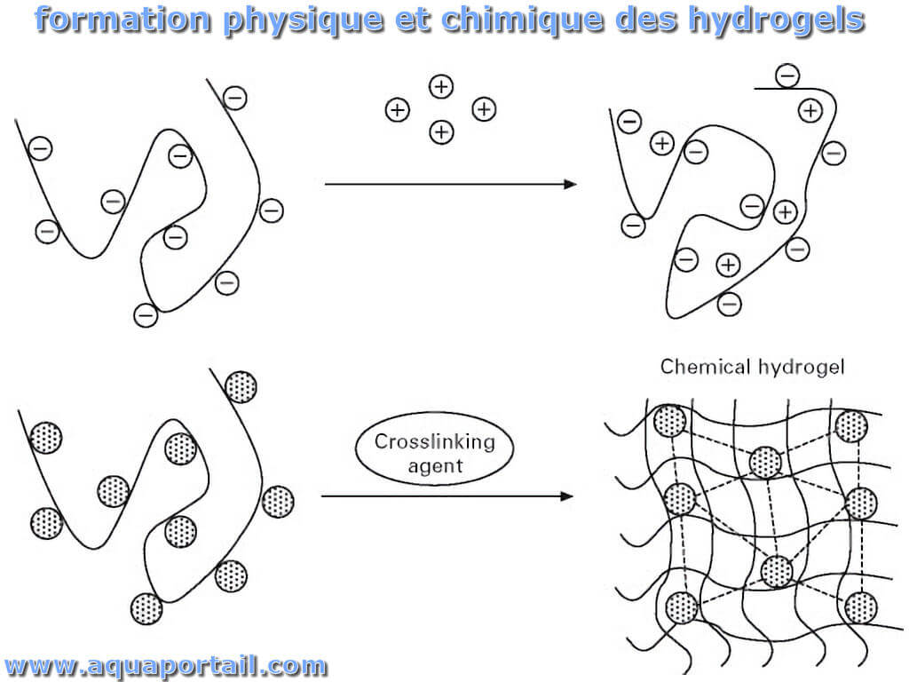 Hydrogel : définition et explications