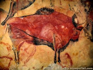 Bison en reprsentation rupestre