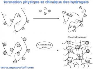 Reprsentation de la formation physique et chimique des hydrogels