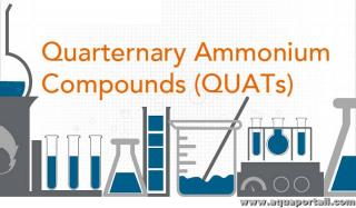 Quats