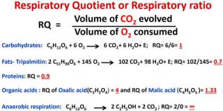 quotient respiratoire