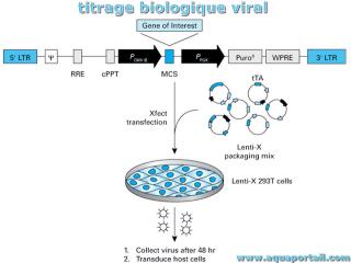 titrage biologique