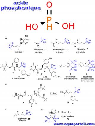 acide phosphonique