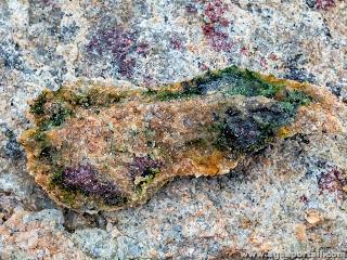 endolithe
