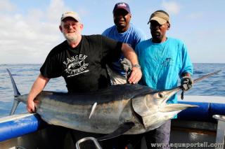 Marlin noir Istiompax indica pch