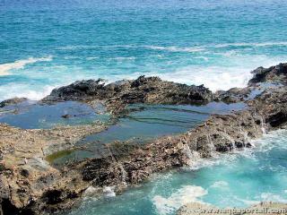 Zone actique d'un littoral rocheux