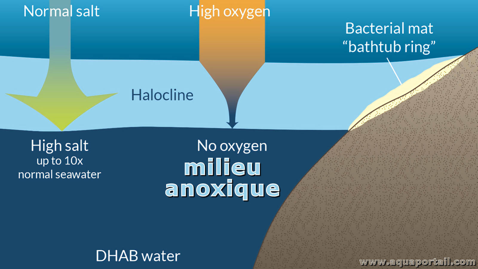 Déficit en oxygène : définition et explications