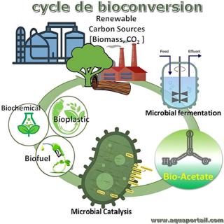 Cycle de bioconversion