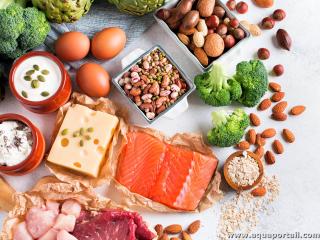 Sources de protines (aliments)
