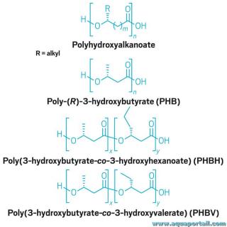 Polyhydroxyalkanoate et ses drivs