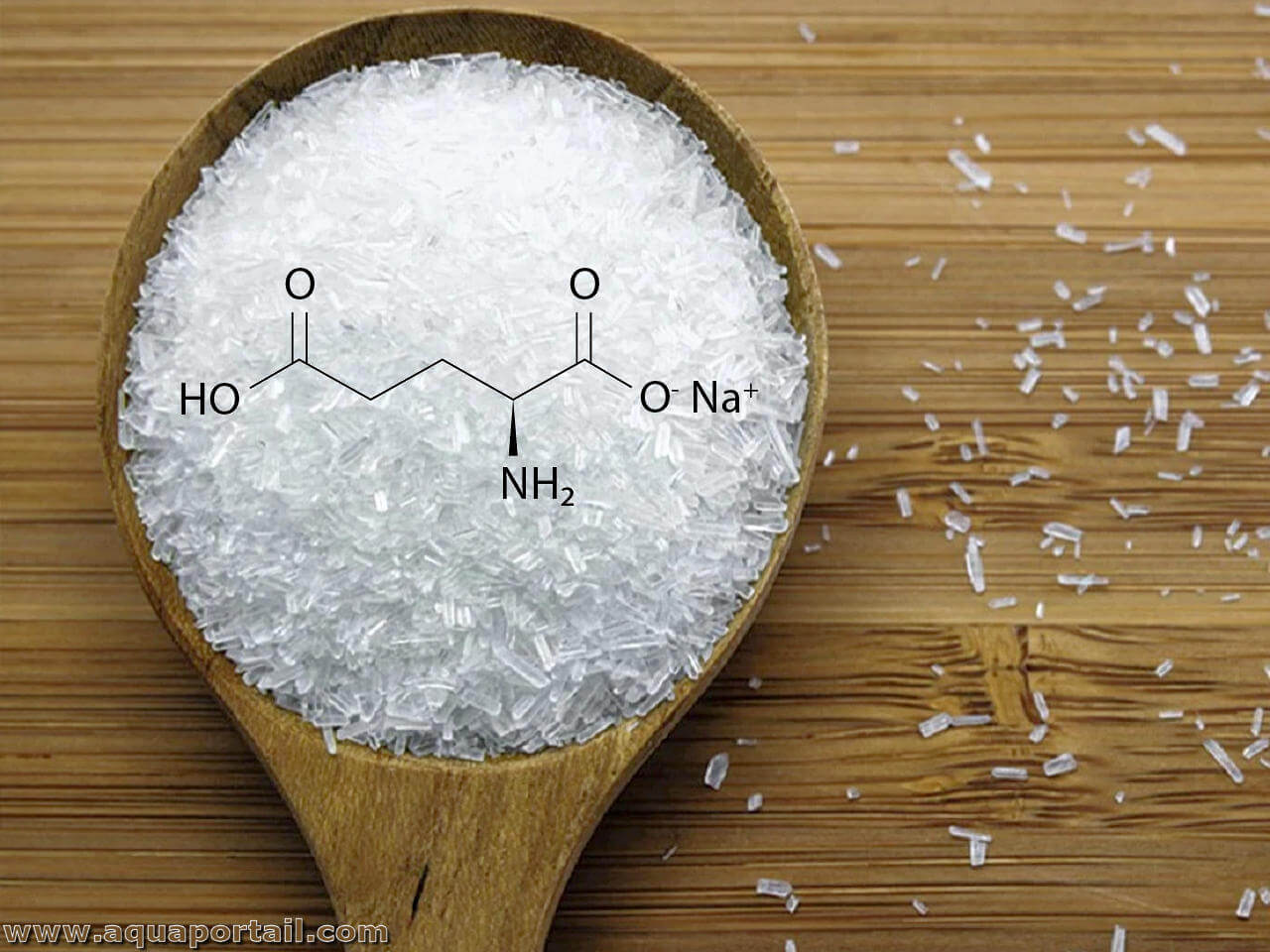 Glutamate monosodique : définition et explications