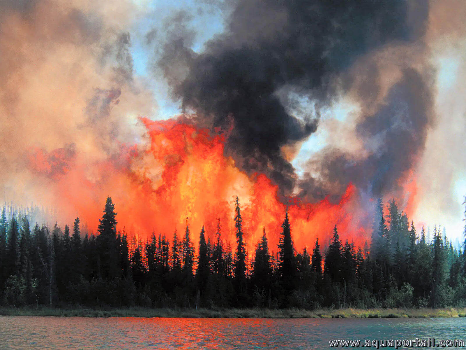 Incendie définition et explications