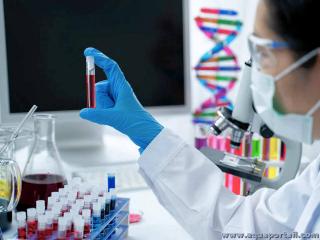 hmatologie