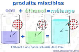 Miscible : eau et thanol sont miscibles pour former un mlange