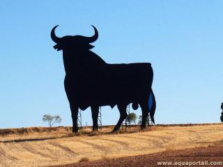 Taureau Osborne (silhouette publicitaire en Espagne)