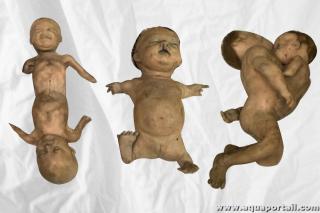 Effets d'une tratognie sur des bbs