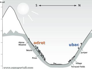 Ubac et adret schmatiss