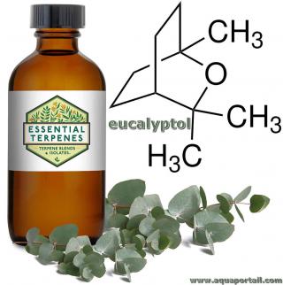 Eucalyptol : produit et structure chimique