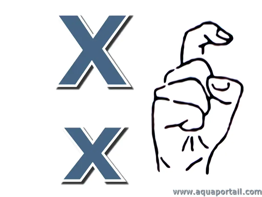 Lettre des mots en X