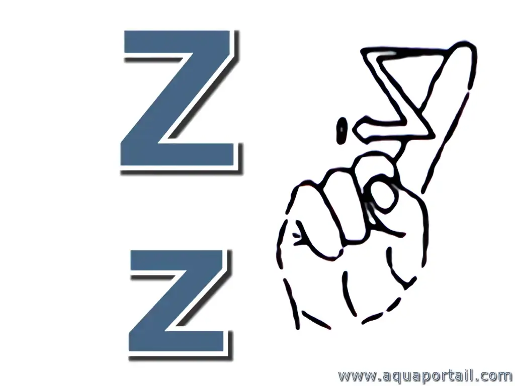 Lettre des mots en Z