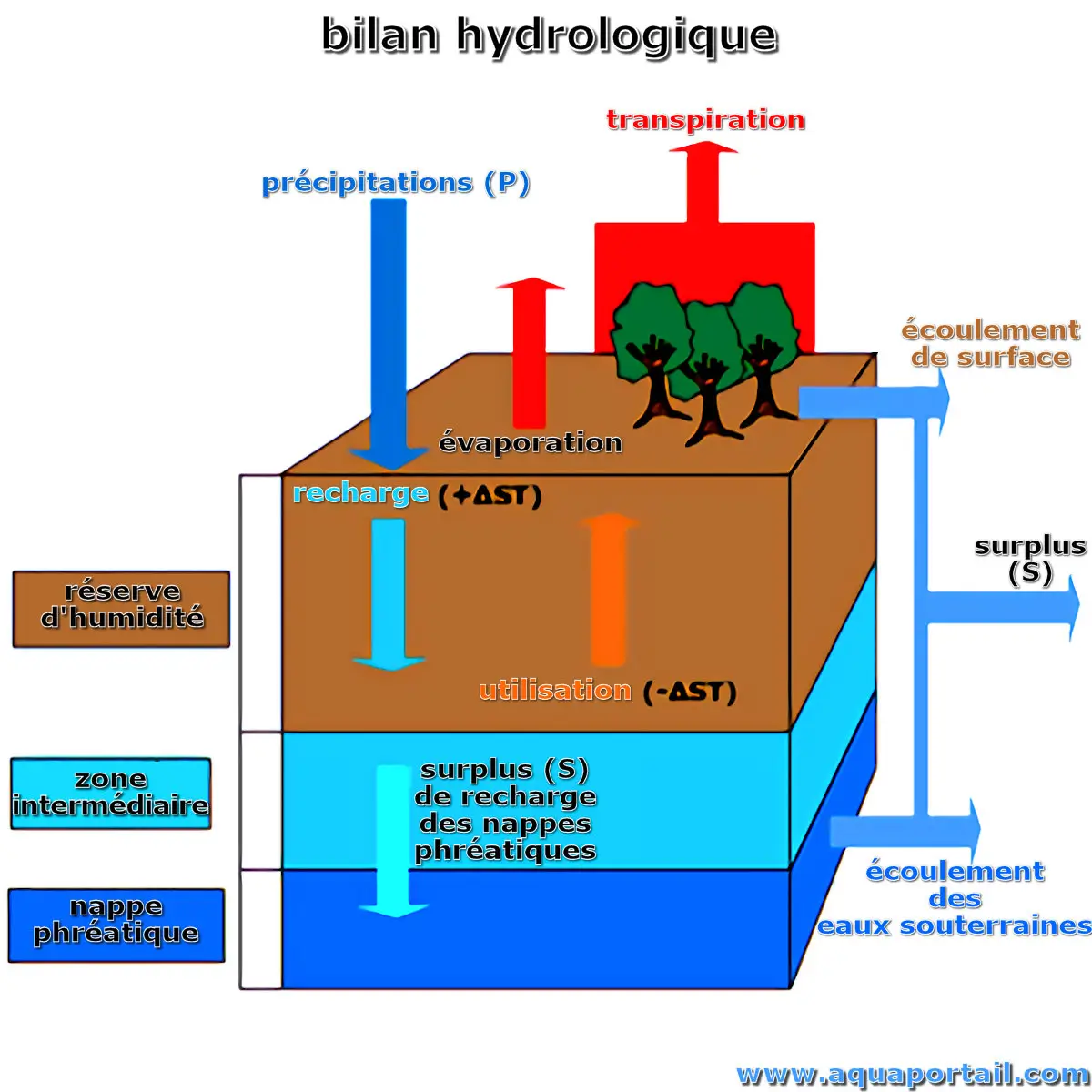 bilan hydrologique