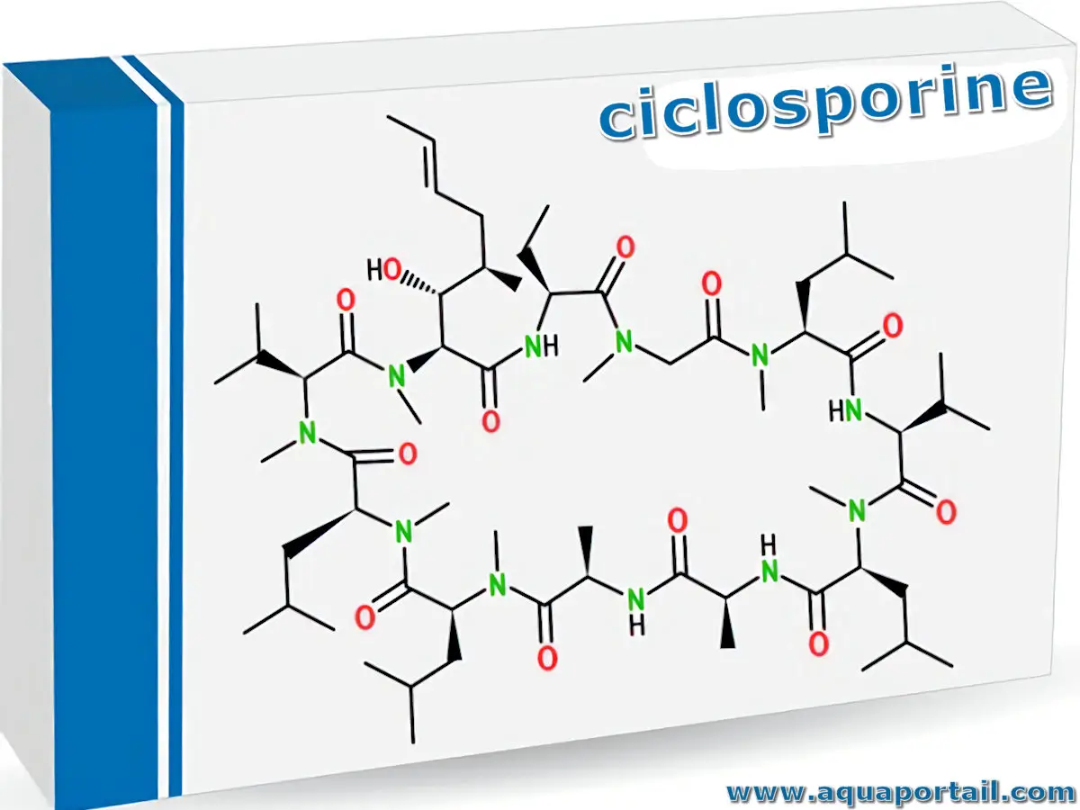 ciclosporine