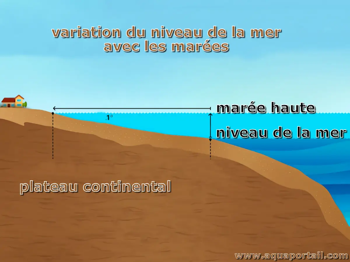 niveau de la mer