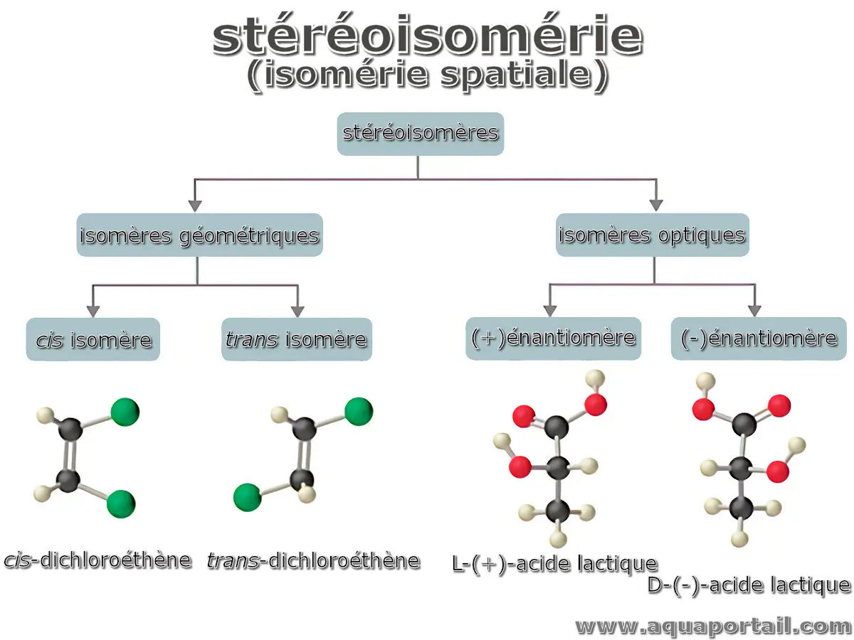 stéréoisomérie