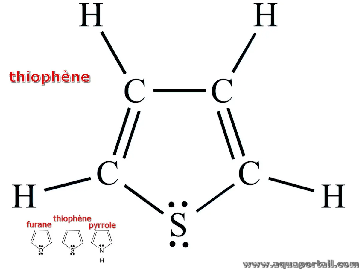 thiophène