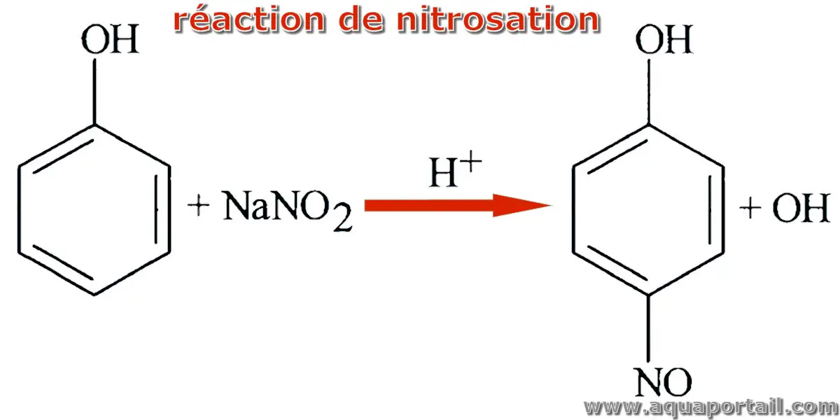 Nitrosation