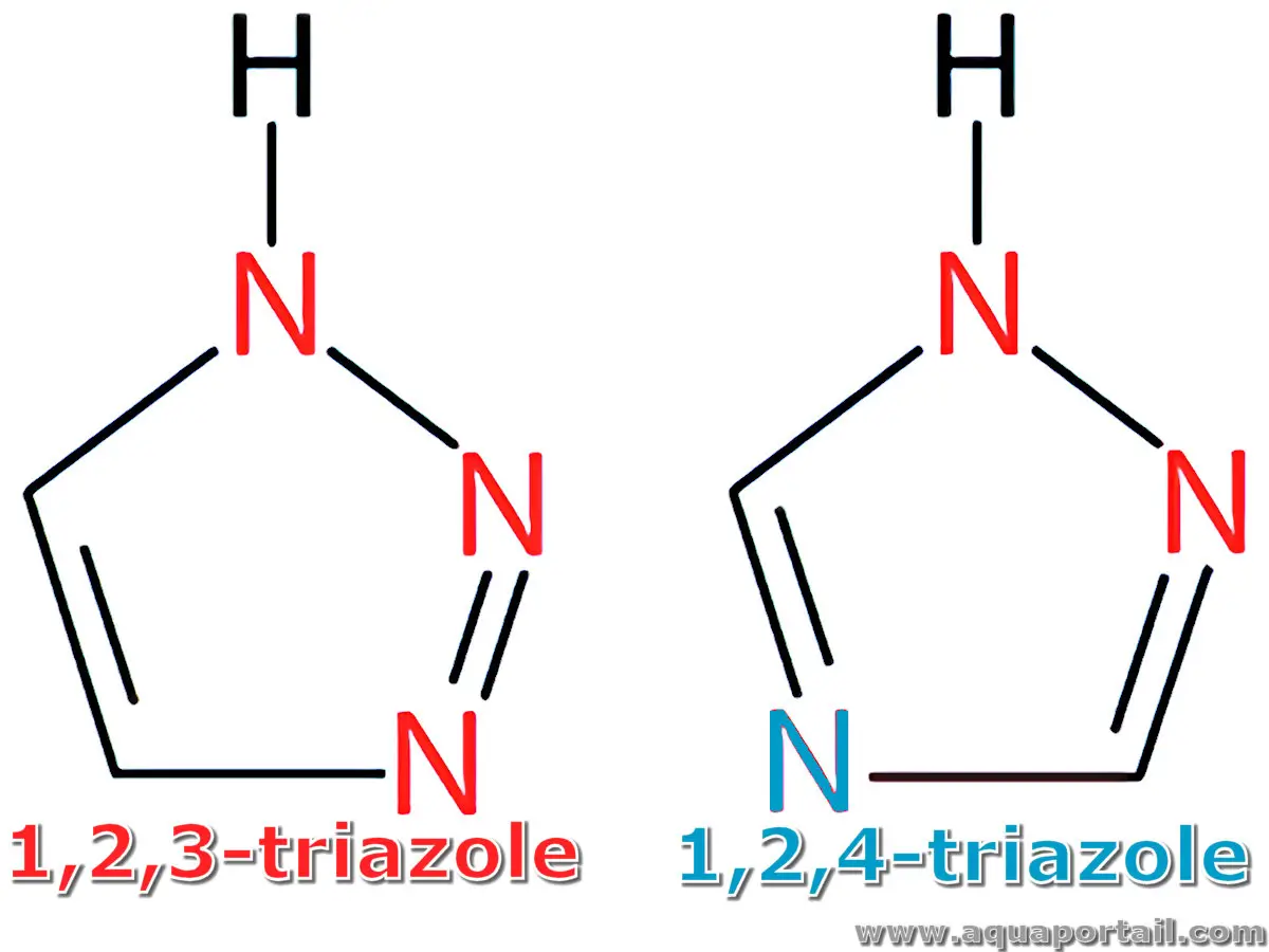 Triazole