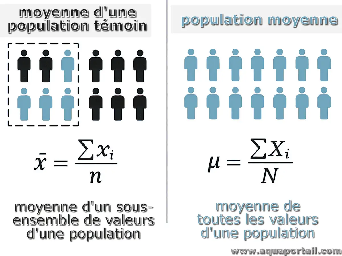 population moyenne